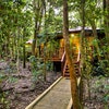 The Mouses House Rainforest Retreat