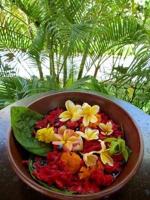 Sama’s Cottages and Villas