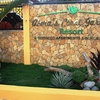 Alonas Coral Garden Resort