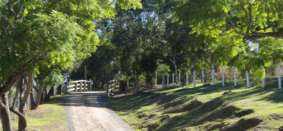 Branell Homestead Bed and Breakfast