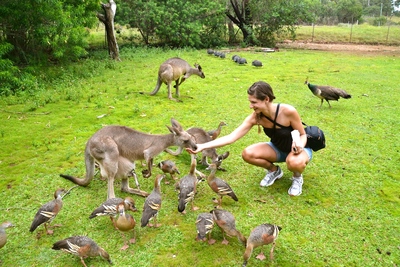 Coral Inn Boutique MOTEL