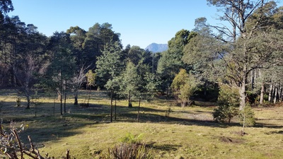 Cradle Alpine Retreat