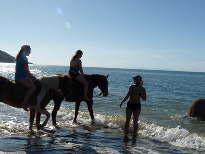 Magnetic Island Bed and Breakfast