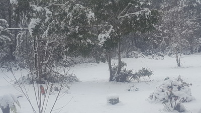 Cradle Alpine Retreat