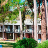 Margarets Forest Holiday Apartments