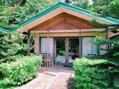 Ted’s Bed and Breakfast