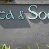 Sea & Soul Studios