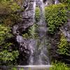 Nimbin Waterfall Retreat