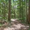 Beechs' Brook Rainforest Retreat