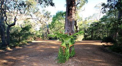 The Margaret River Bed and Breakfast