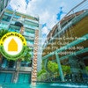 Emerald Terrace Patong by Golden Legal