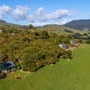 Catlins Mohua Park and Catlins Scenic & Wildlife Tours