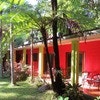 Daintree Rainforest Retreat Motel