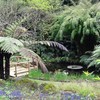 Te PoPo Gardens & Accommodation