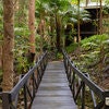 Wollumbin Palms Rainforest Retreat