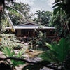 The Botanical Ark Retreat