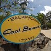 Cool Bananas Backpackers 1770