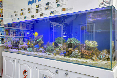 Coral Inn Boutique MOTEL