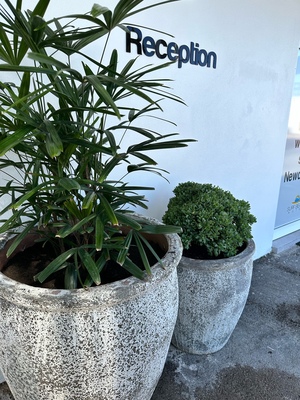 Surf Beach Motel Newcastle