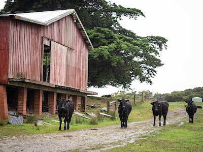 Icena Farm Accommodation