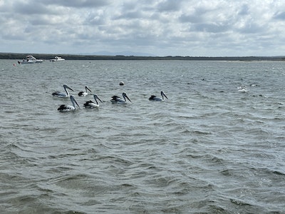 Icena Farm Accommodation