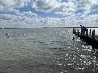 Icena Farm Accommodation