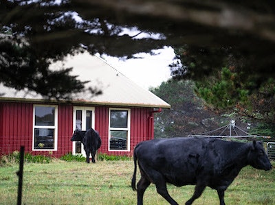 Icena Farm Accommodation