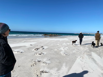 Icena Farm Accommodation