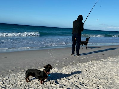 Icena Farm Accommodation