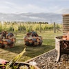 Villas and Vines Glamping