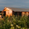 Villas and Vines Glamping