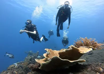 Bali Diversity Dive Resort