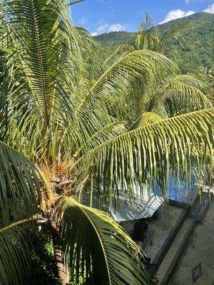 Bali Diversity Dive Resort