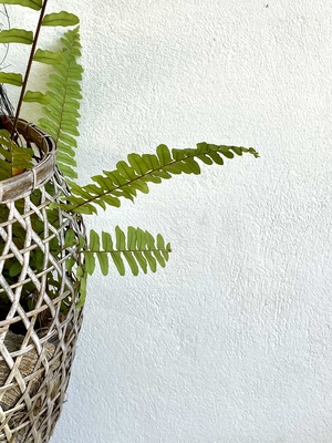 Bali Diversity Dive Resort