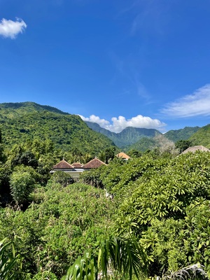 Bali Diversity Dive Resort