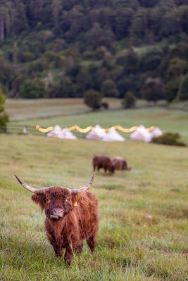 Sēlah Valley Estate