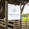 Tussie Mussie Vineyard + Retreat