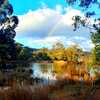 Hamlet Downs Country Accommodation & Country Hideaway