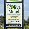 The Olive Motel