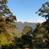 Limpinwood Lodge