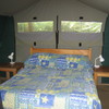 GLAMPING TENT - DOUBLE BED
