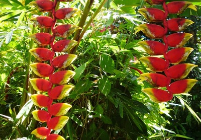 Standard Air Con Cottage max 2 guests - FREE CANCELLATION - BREAKFAST INCLUDED