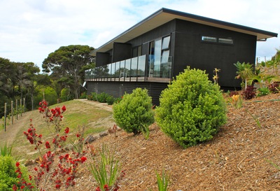 Studio 2 Pohutakawa Room