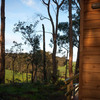 Red Gum Cottage 