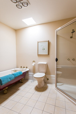 Wellington - One Bedroom Apartment with Kitchen and Lounge 