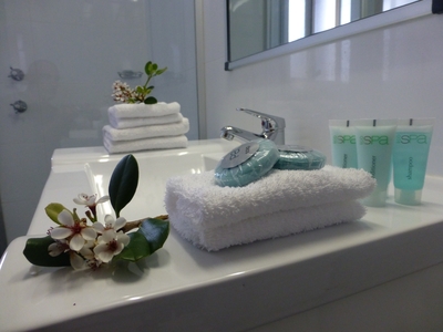 Executive Twin Share Room