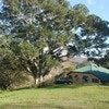 Wallaby Cottage - Multiple Nights