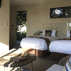 Spinifex Suite