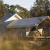 Hakea - Deluxe Safari Tent
