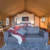 Safari Tent Standard Rate